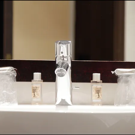 Grand Francais פריז