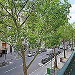Grand Francais